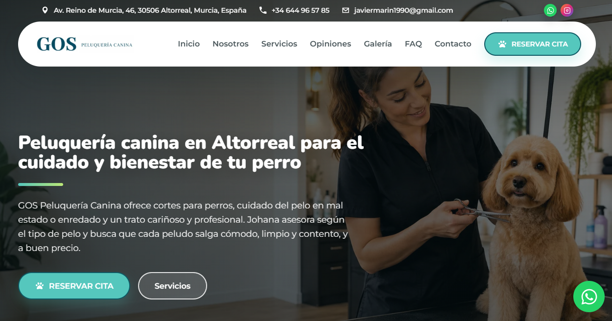 Diseño profesional, no de plantilla genérica
